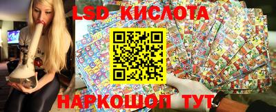 a pvp Тара