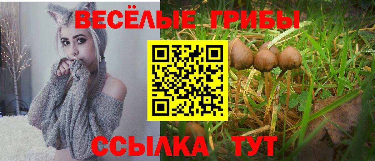 Псилоцибиновые грибы Magic Shrooms  Вход с VPN  Псилоцибиновые грибы Psilocybe  Ростов Великий 